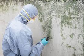 Best Comprehensive Air Testing for Mold Contaminants  in Alba, NY